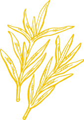 fresh ingredients icon